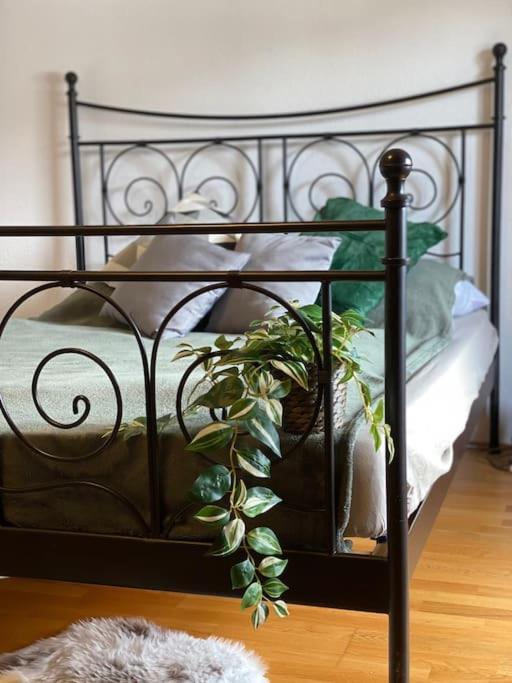 Neues Ruhiges Apartment, Bergblick, Stellplatz Бишофсвизен Екстериор снимка